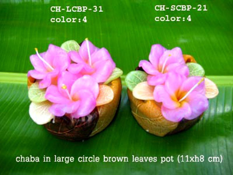 เทียนหอม เดชอุดม : CATALOGUE02|small items of flower candles from Thailand for any ocassions
A TOUCH OF THAI, MIXED WITH WILD FLOWER CANDLES|CH-SCBP-21|small circle pot 10 x h 8 cm